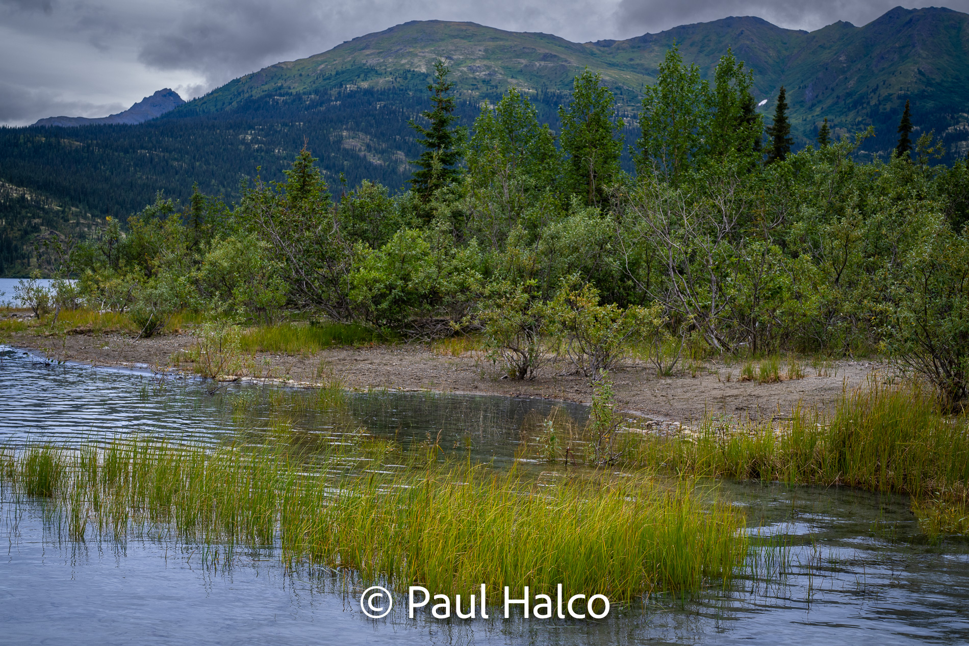 Paul Halco - Gates of the Arctic NP-31
